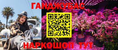 индика Азнакаево