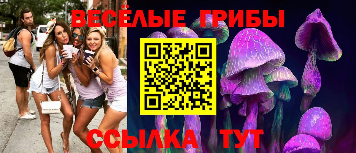 Галлюциногенные грибы ЛСД Анапа